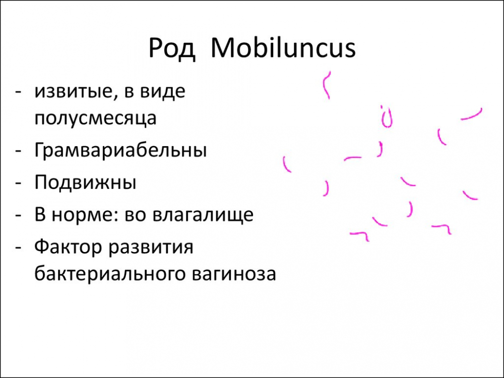 расшифровка мазка на флору у женщин